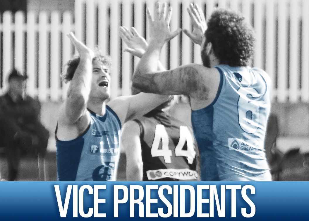 Vice President